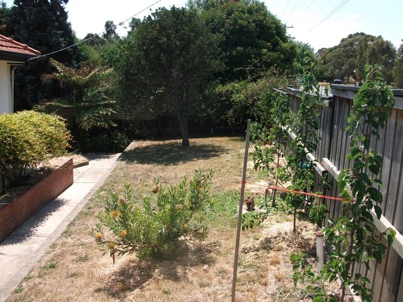 41 Princes Highway, Bairnsdale VIC 3875