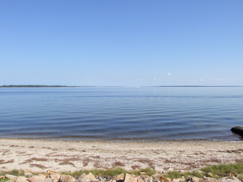 41 Sydenham Parade, Bemm River VIC 3889