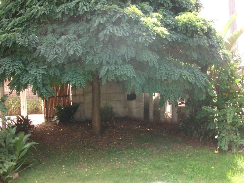 3/56 Dawson Street, Bairnsdale VIC 3875