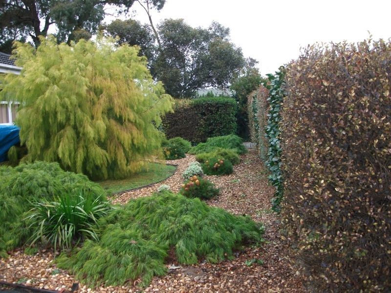 17 Churchill Street, Bairnsdale VIC 3875