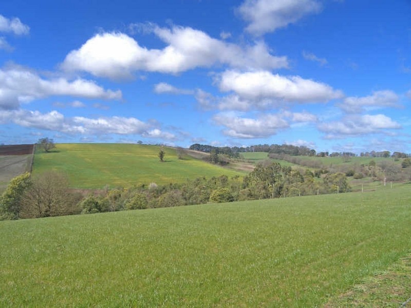 Mountain Road, Gembrook VIC 3783