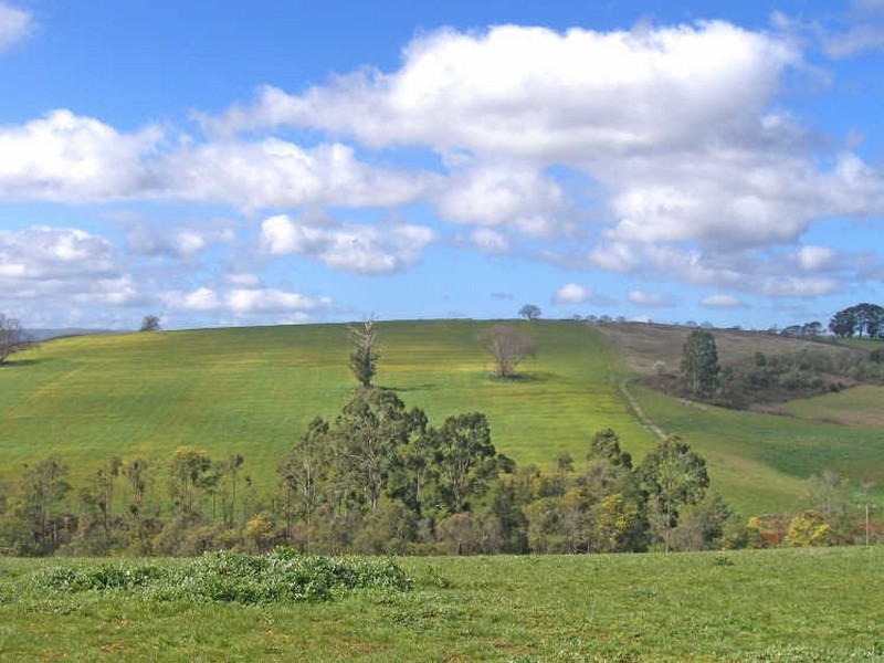 Mountain Road, Gembrook VIC 3783
