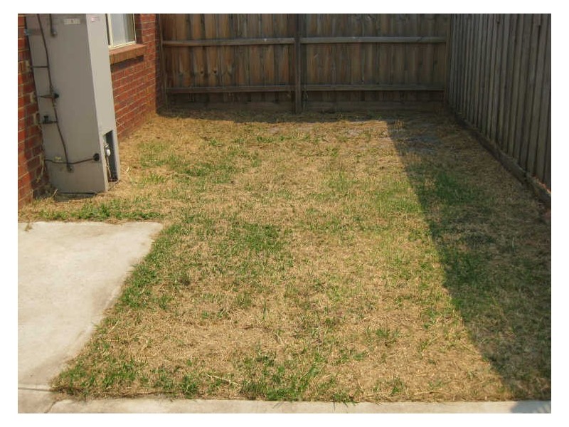 4/19-21 Maculata Drive, Cranbourne VIC 3977