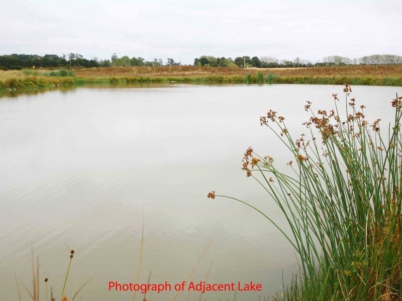 Lots 456-457/Units 1-6 Roseville Court, Berwick VIC 3806