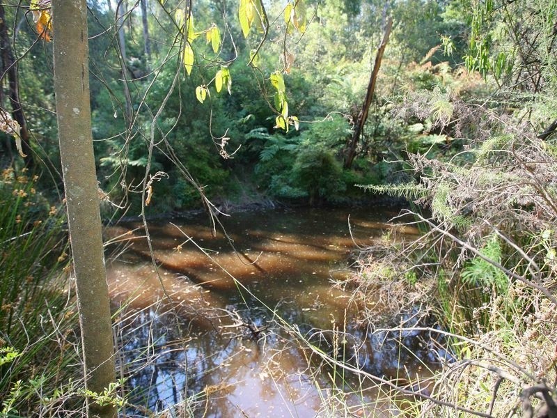 20 Reed Avenue, Beaconsfield Upper VIC 3808