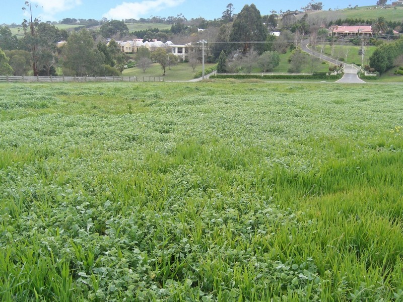 13A Caserta Drive, Berwick VIC 3806