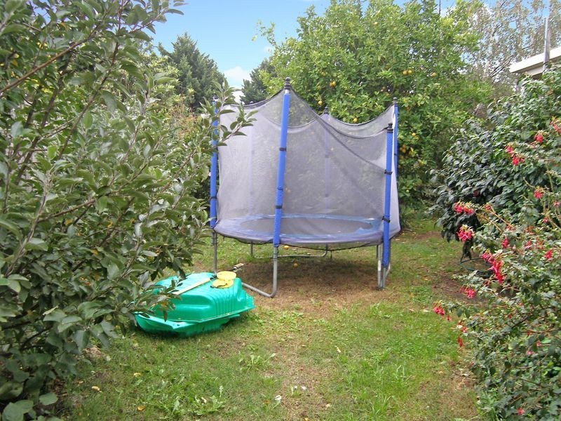 11 Van Der Haar Avenue, Berwick VIC 3806