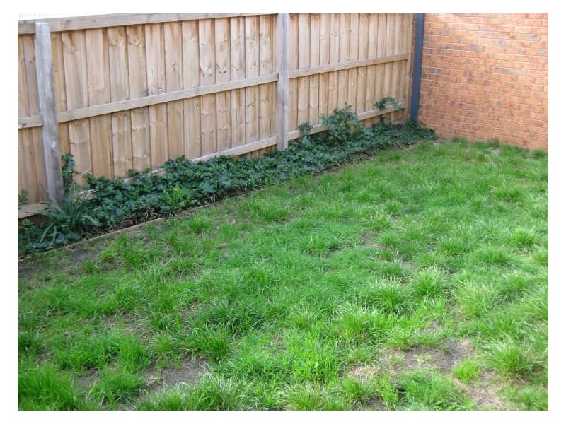 1/16 Daniel Drive, Langwarrin VIC 3910