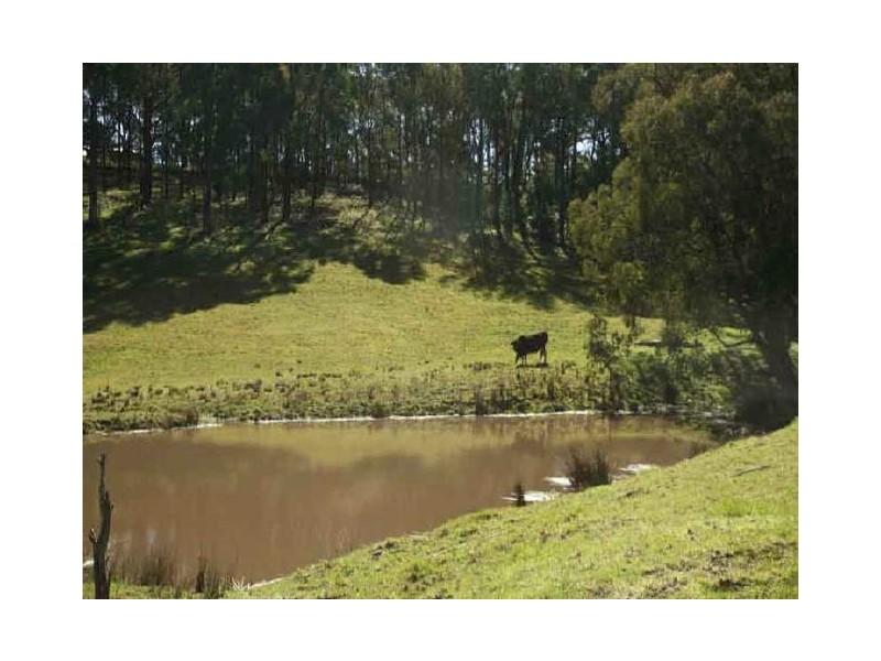 21 Walnut Grove, Beaconsfield Upper VIC 3808