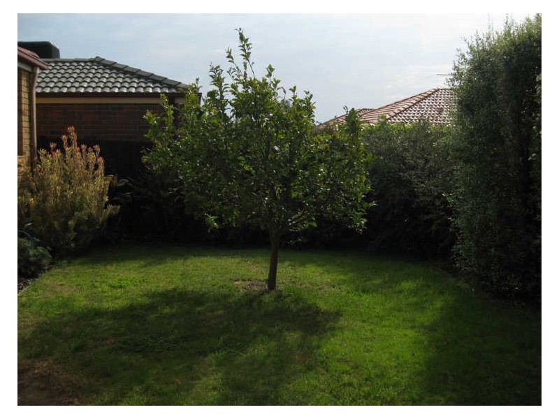 78 Wintersun Road, Berwick VIC 3806