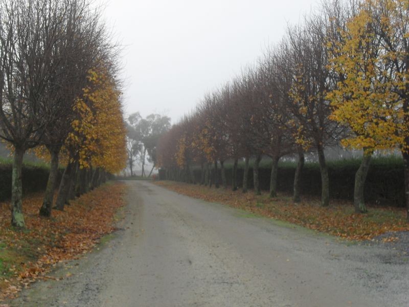 Beaconsfield VIC 3807