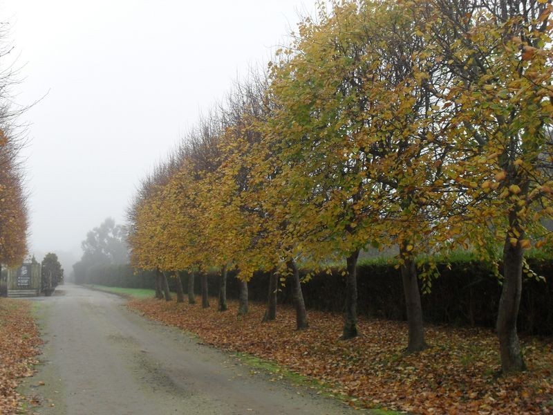 Beaconsfield VIC 3807