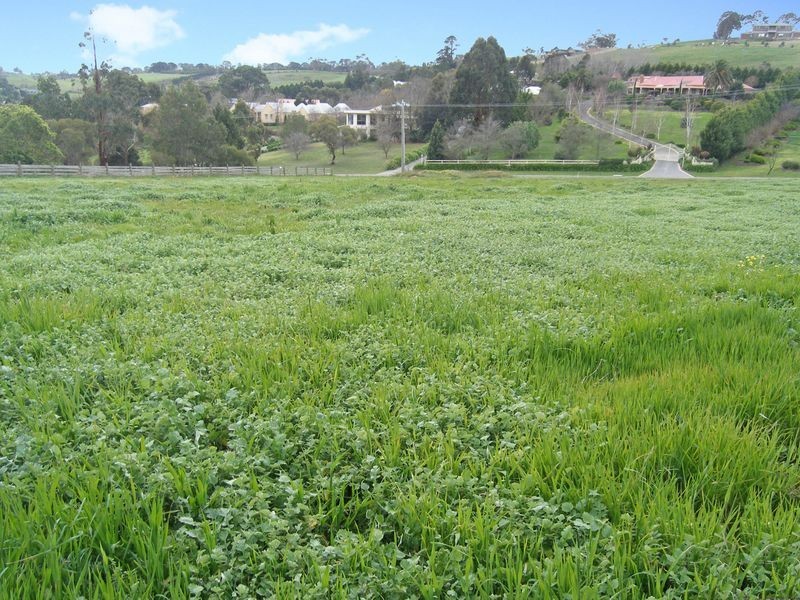 13A Caserta Drive, Berwick VIC 3806