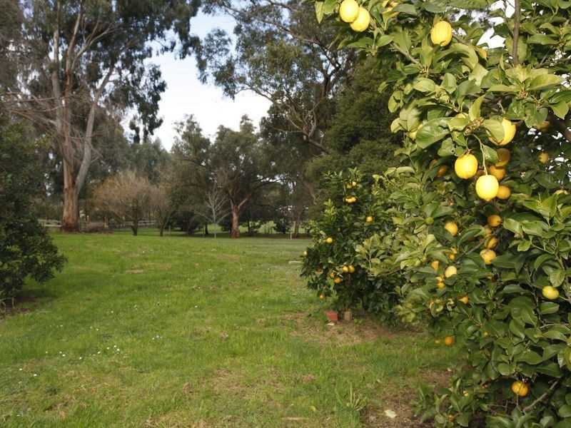 40 May Road, Beaconsfield VIC 3807