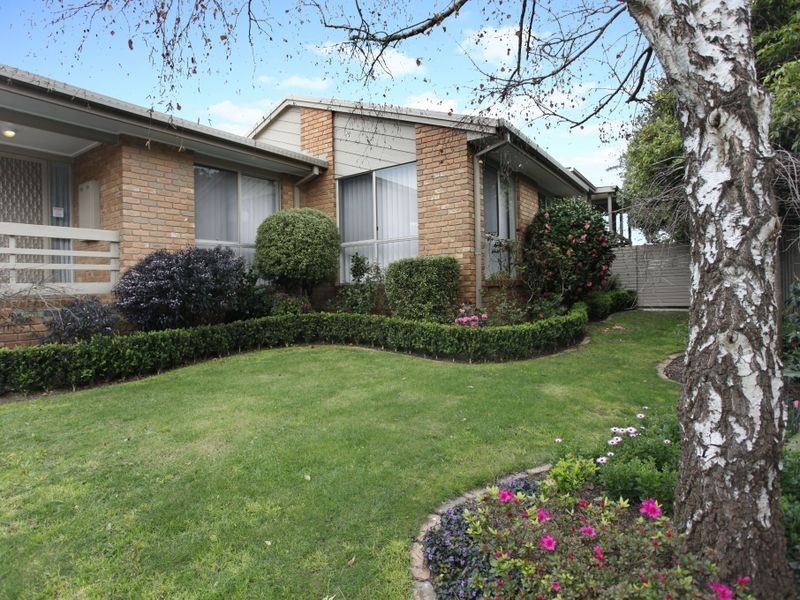17 Telford Drive, Berwick VIC 3806