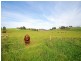 100 Ryan Road BULN BULN, Warragul VIC 3820