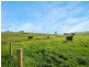 100 Ryan Road BULN BULN, Warragul VIC 3820