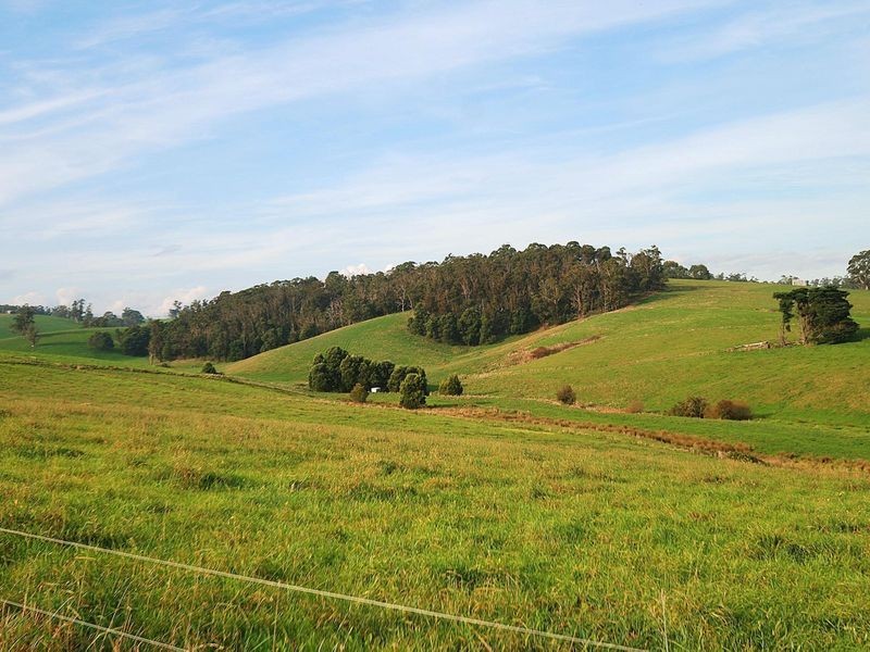 Old Telegraph Road (Rokeby), Warragul VIC 3820