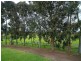 65 Coolibah Road, Pearcedale VIC 3912