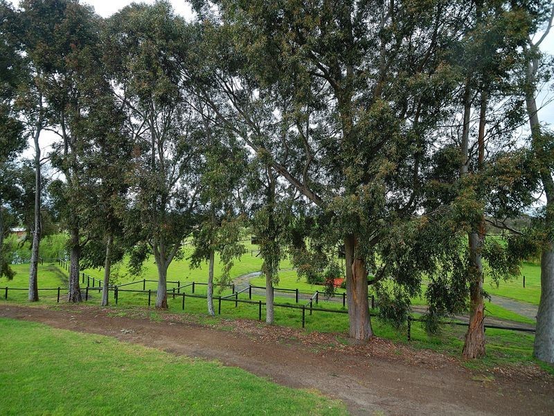 65 Coolibah Road, Pearcedale VIC 3912