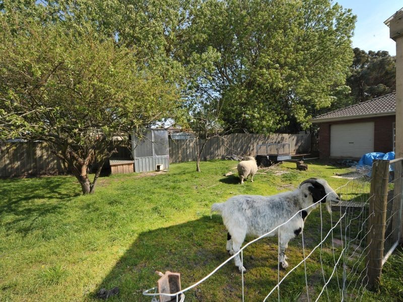 32 Collison Road, Cranbourne East VIC 3977