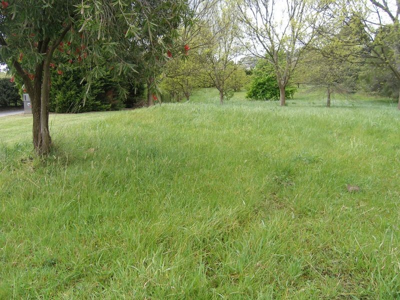 16 Caravelle Court, Berwick VIC 3806