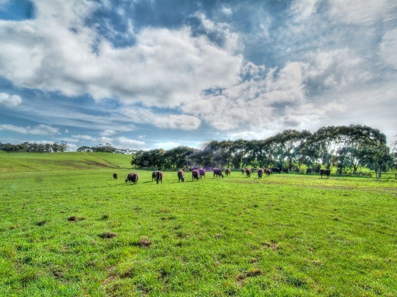 70 Smith Road, Almurta VIC 3979