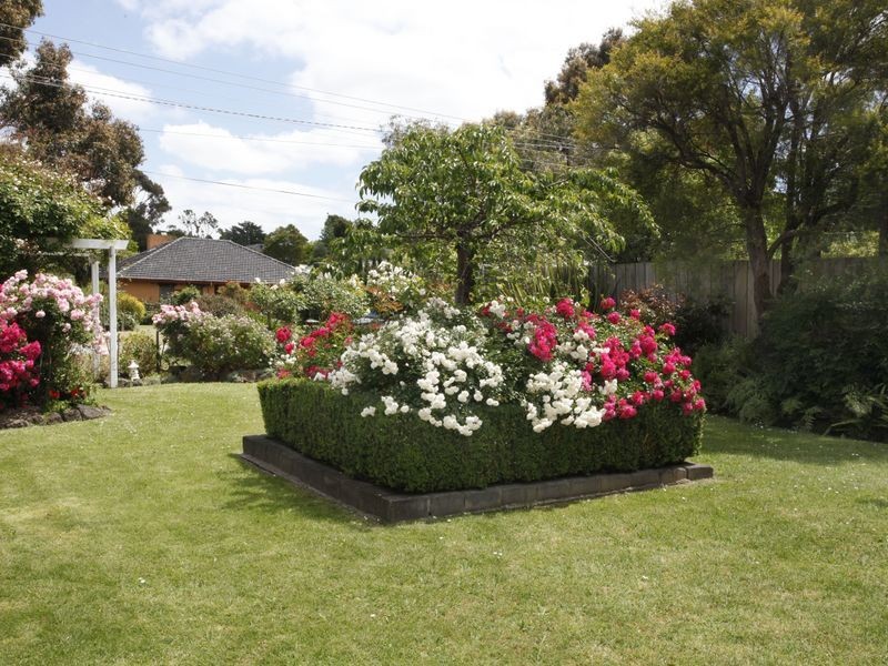 11 Elgin Street, Berwick VIC 3806