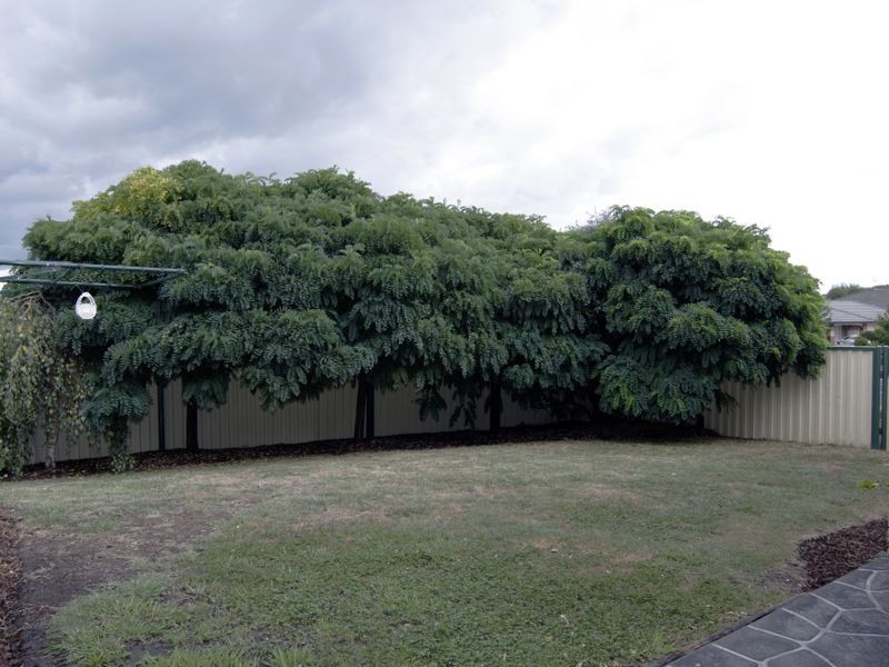 4 Hagen Drive, Berwick VIC 3806