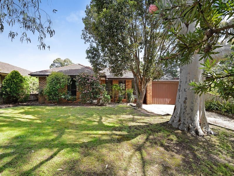 18 St Boswells Avenue, Berwick VIC 3806