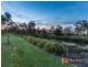 13 Cerbera Bend, Cranbourne North VIC 3977