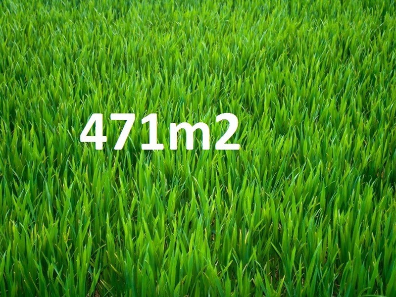 40 Palomino Avenue, Clyde North VIC 3978