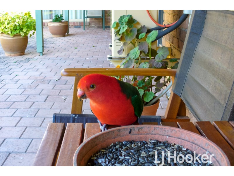 11 Angela Court, Narre Warren North VIC 3804