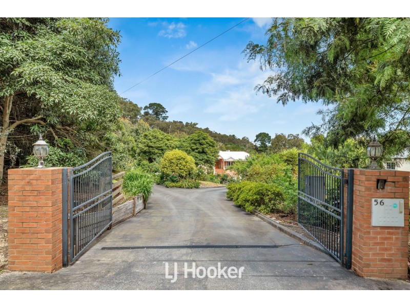 56 Quamby Avenue, Guys Hill VIC 3807
