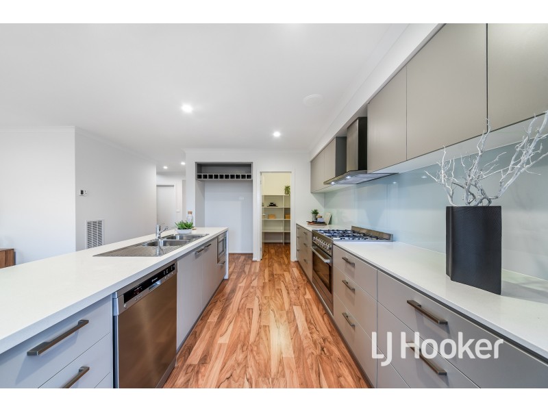 62 Warmbrunn Crescent, Berwick VIC 3806