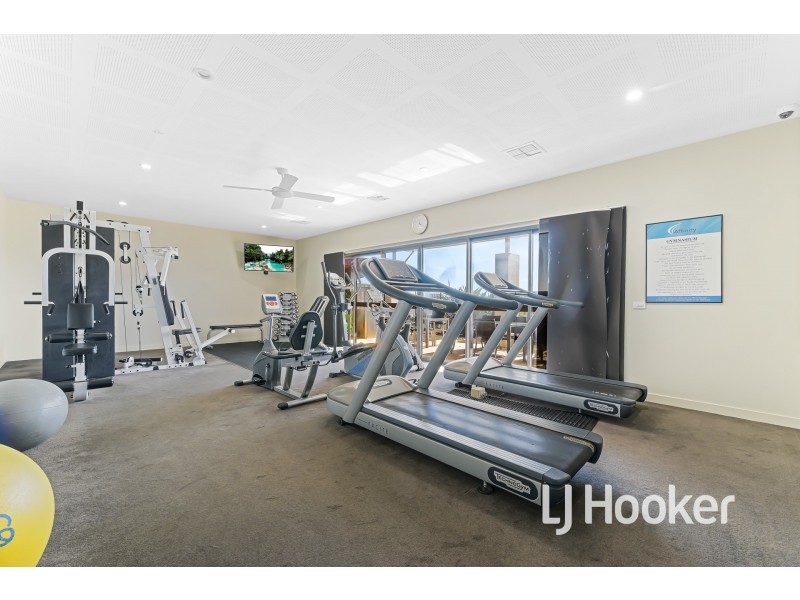 20 Whitehaven Street, Berwick VIC 3806