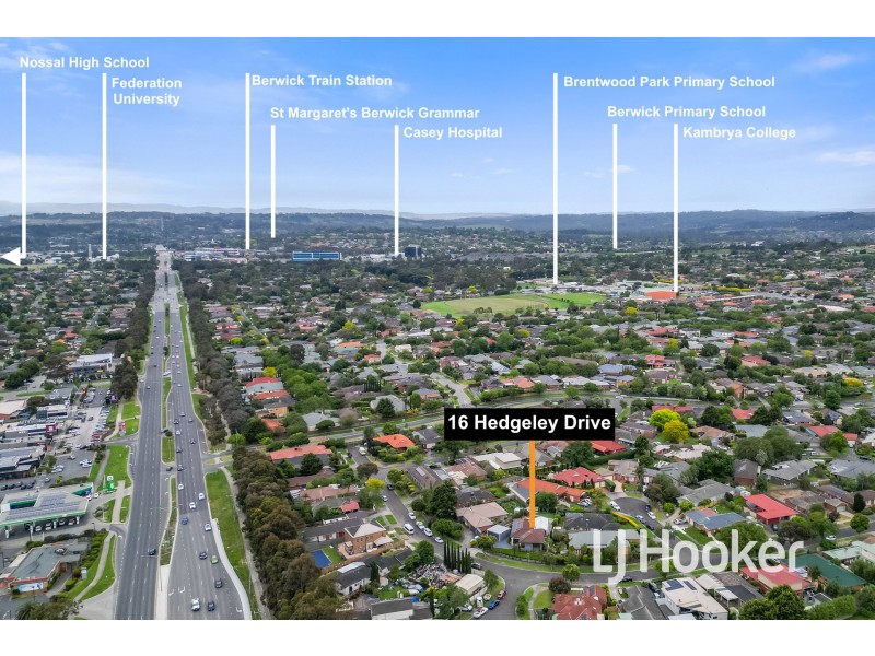 16 Hedgeley Drive, Berwick VIC 3806