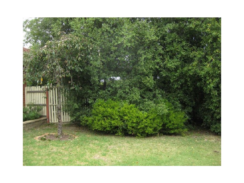 6 Raneen Place, Berwick VIC 3806