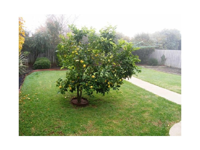 5 Kirrilee Court, Berwick VIC 3806