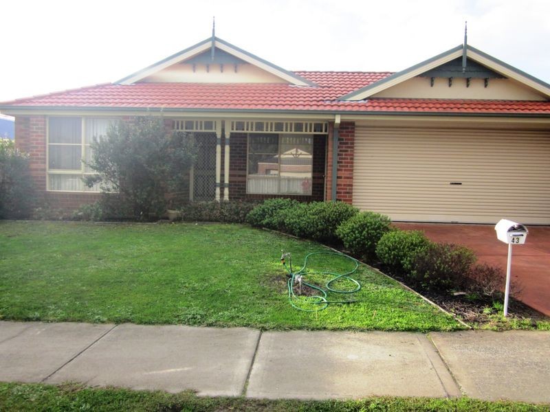 43 Sunnyvale Drive, Langwarrin VIC 3910