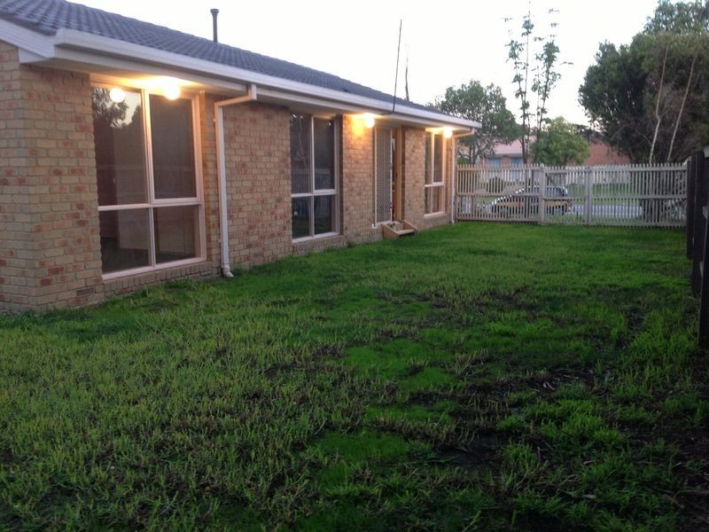 16 Norfolk Drive, Narre Warren VIC 3805