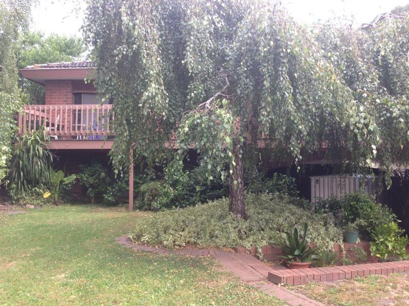 24 Shute Avenue, Berwick VIC 3806