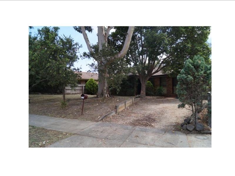 18 St Boswells Avenue, Berwick VIC 3806