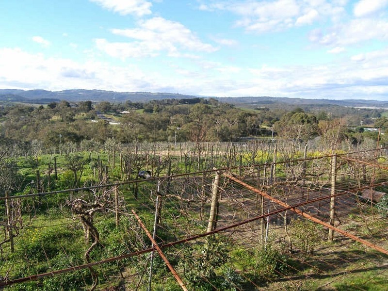 315 Harkaway Road, Harkaway VIC 3806