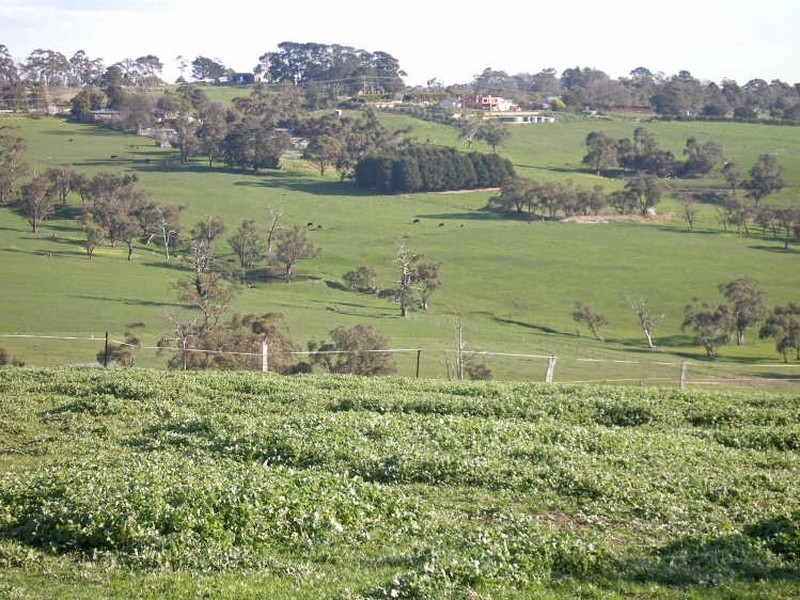 315 Harkaway Road, Harkaway VIC 3806