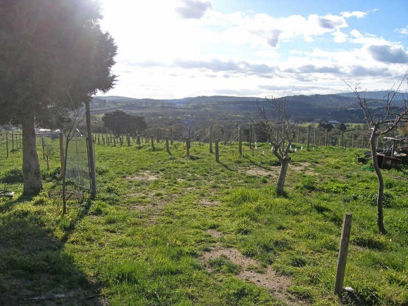 315 Harkaway Road, Harkaway VIC 3806