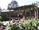 17 Carluke Close, Berwick VIC 3806