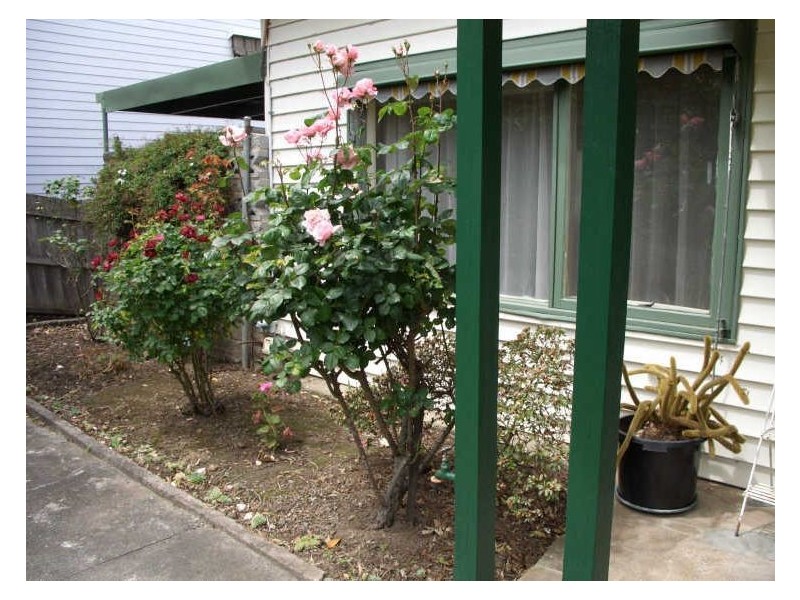 1/39 The Avenue, Ferntree Gully VIC 3156