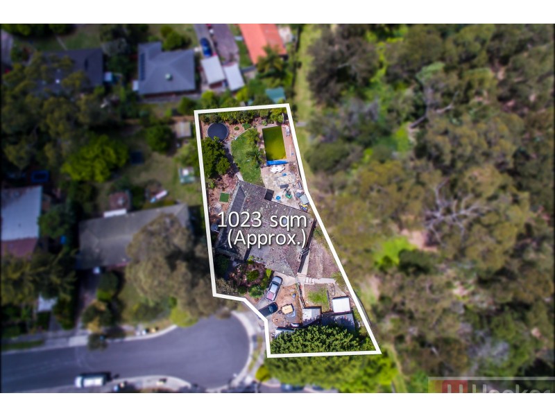 13 Elder Grove, Boronia VIC 3155