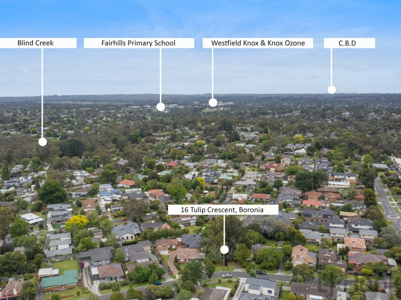 16 Tulip Crescent, Boronia VIC 3155